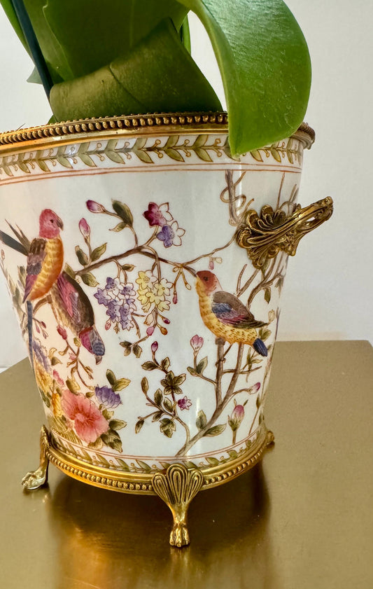 JUWC 1895 pot planter
orchid vase