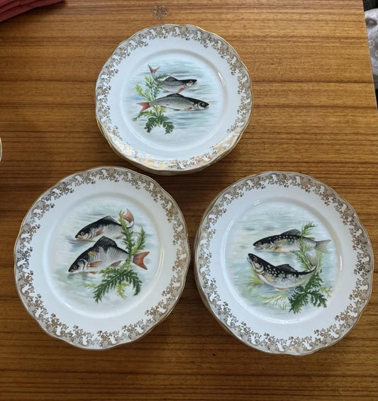 French Fish plates platter, gold edges F.D. Chauvigny Set of 12 antique fish plate set