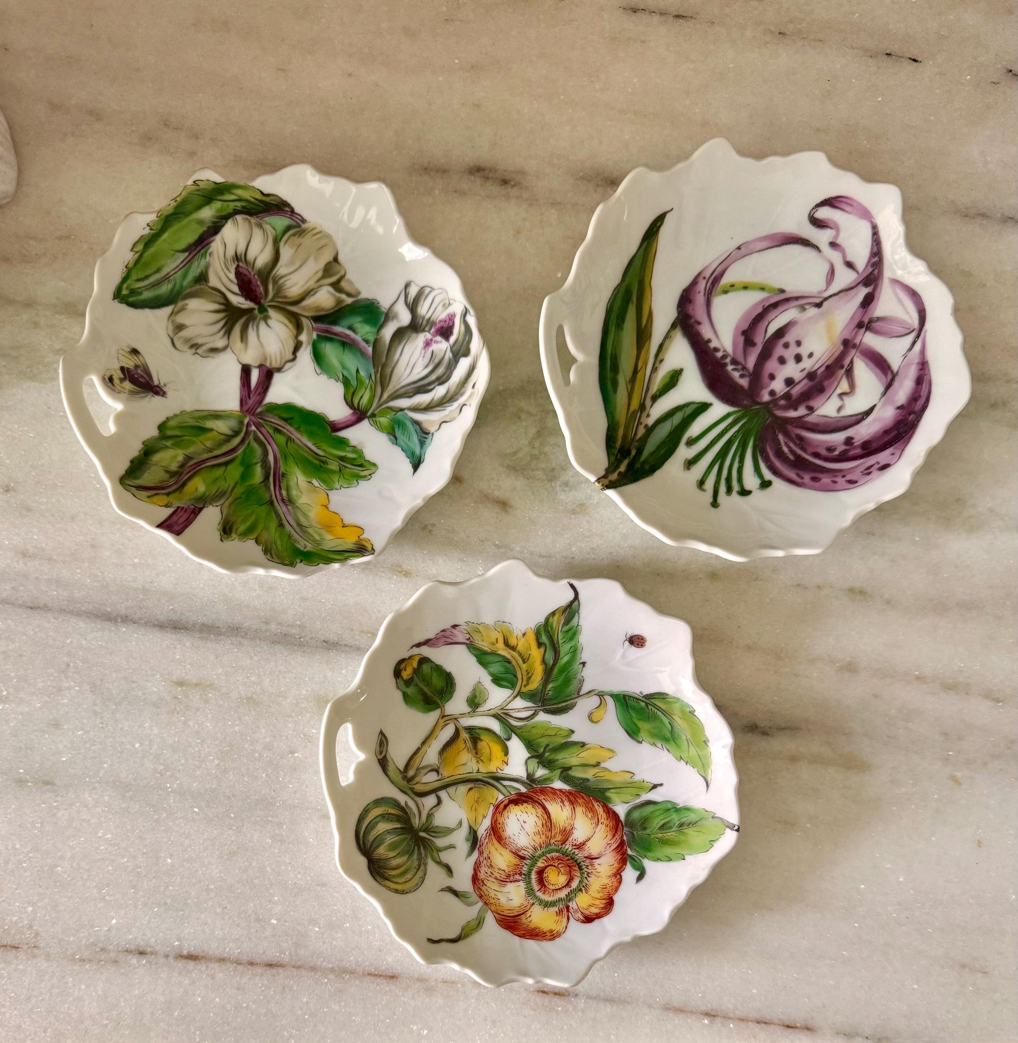 Montahedeh Plate Dish The Exoctic Plant Collection Orchids Hand Painted Vintage Chinoiserie Chinese Floral Orchid Wall Plates