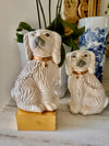 Foo Dogs Pair Vintage Chinoserie Decorative Dogs RARE Chinese Foo Dogs