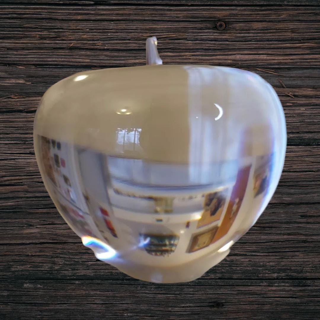 Tiffany and Co Apple Crystal Paperweight Gift for Teacher