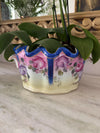 juwc 1895 planter