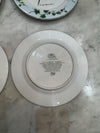 andrea by Sadek parrot plates set of 4 lunch size perfect plate wall display plates tropical jungle plates