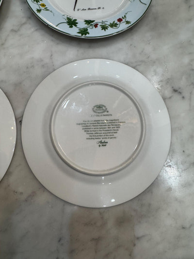 andrea by Sadek parrot plates set of 4 lunch size perfect plate wall display plates tropical jungle plates