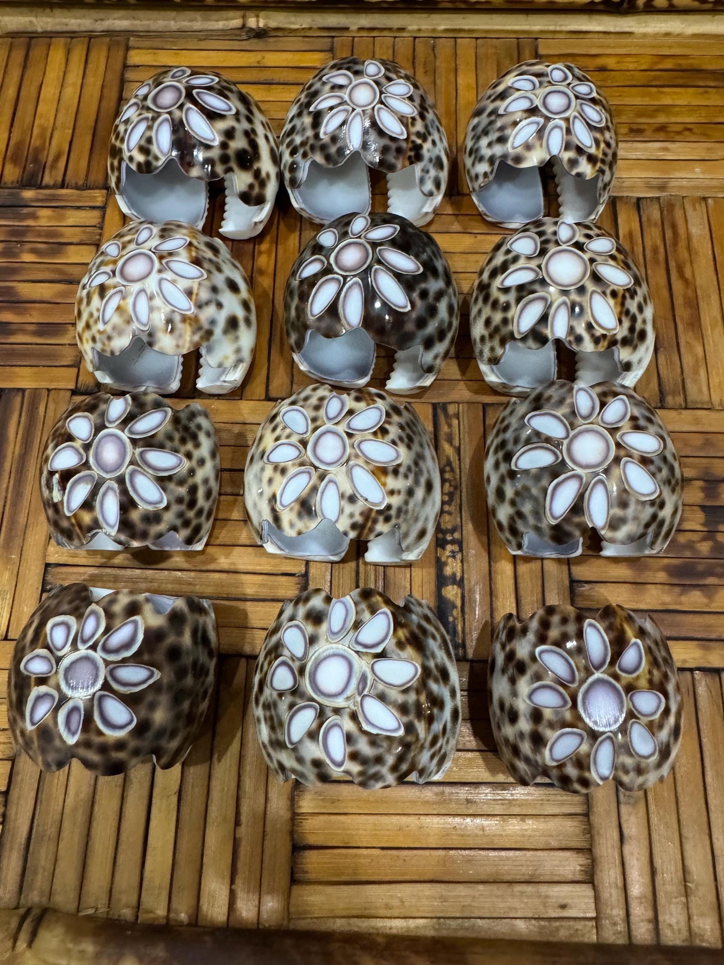 shell napkin rings 
Cowie shell napkin rings