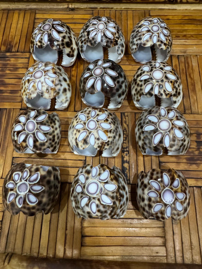 shell napkin rings 
Cowie shell napkin rings