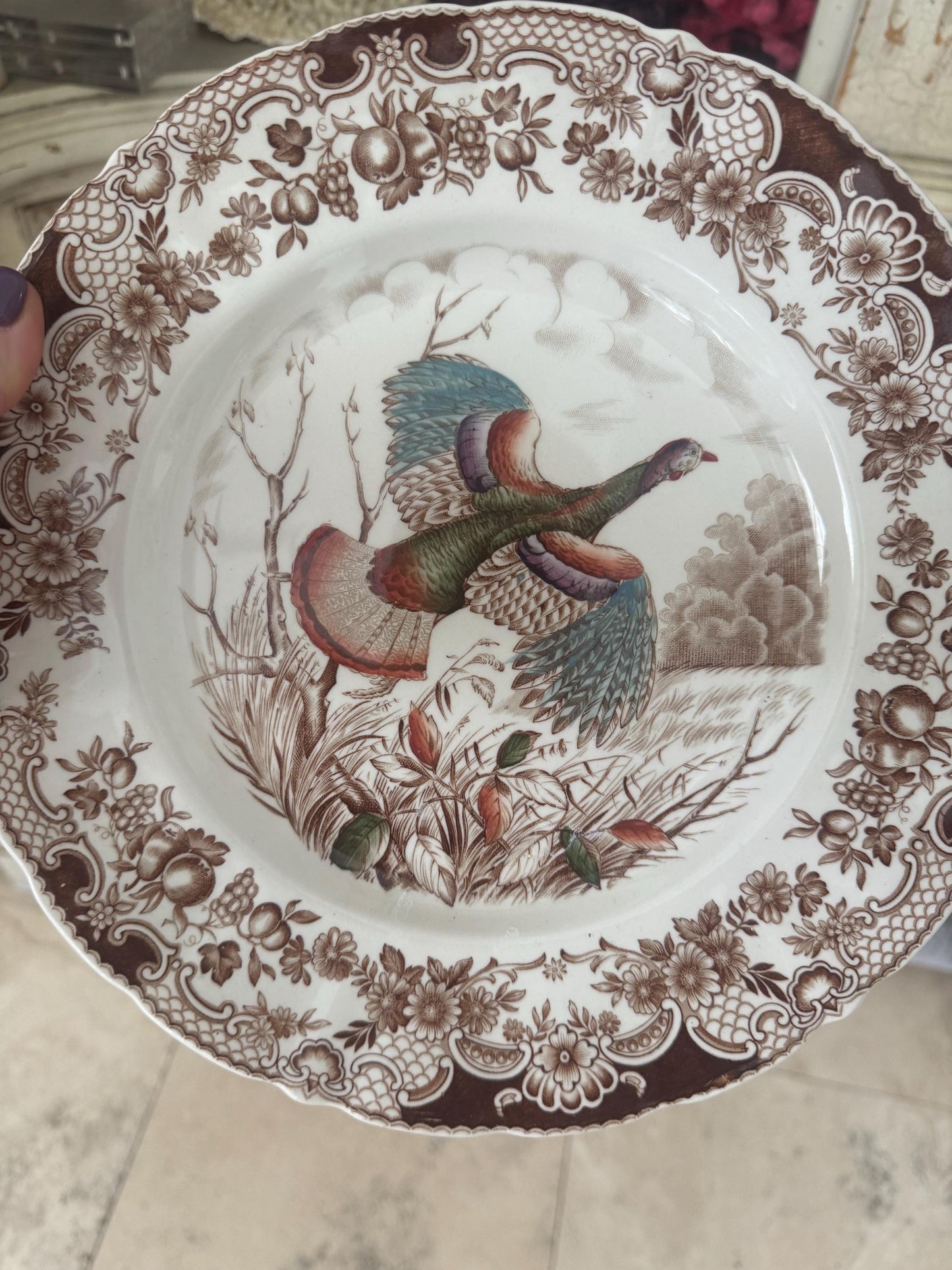 Wild turkey plate Johnson brothers rare