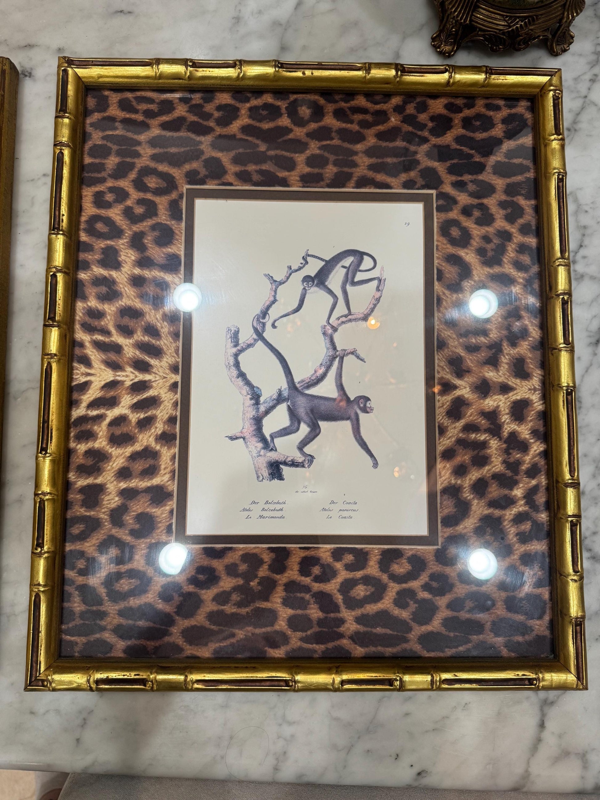 Framed Monkey Prints Vinatge Animal prints witj gold bamboo frames and leopard mats set of 2 monkey prints