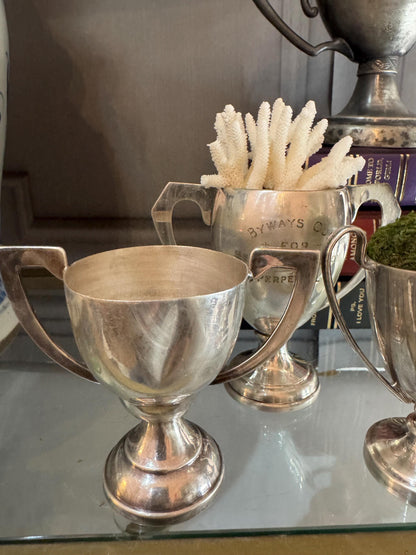 silver plate trophy cups