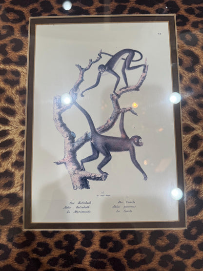 Framed Monkey Prints Vinatge Animal prints witj gold bamboo frames and leopard mats set of 2 monkey prints