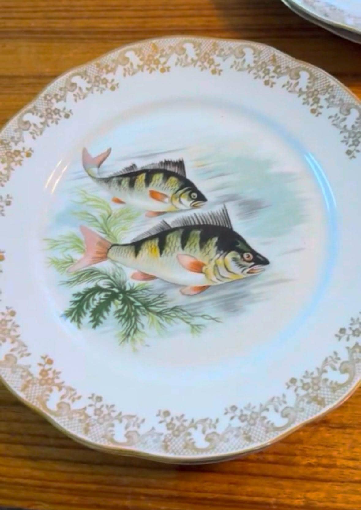 French Fish plates platter, gold edges F.D. Chauvigny Set of 12 antique fish plate set