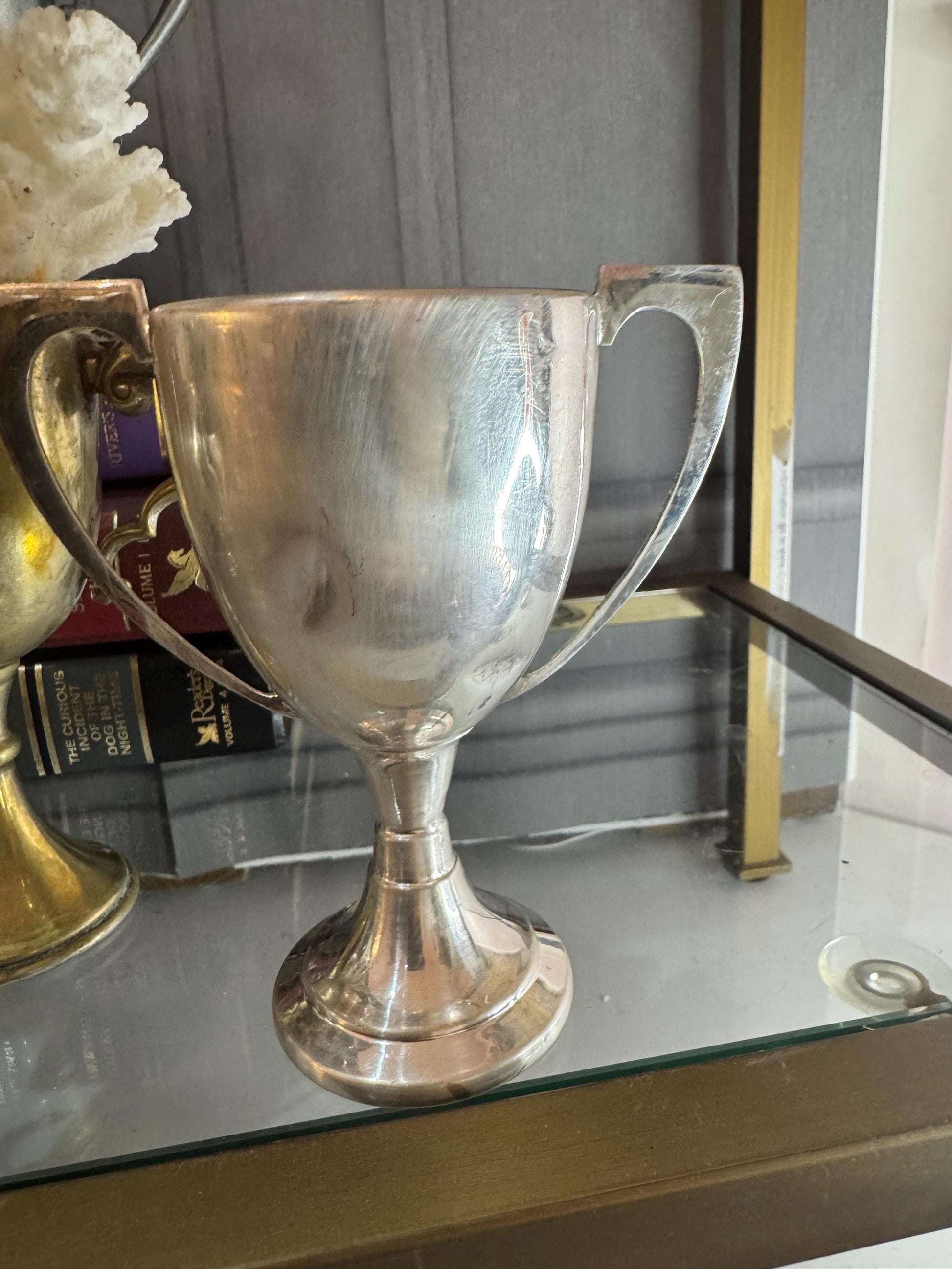 lot of vintage silver plate and pewter trophy cups from England styling pieces