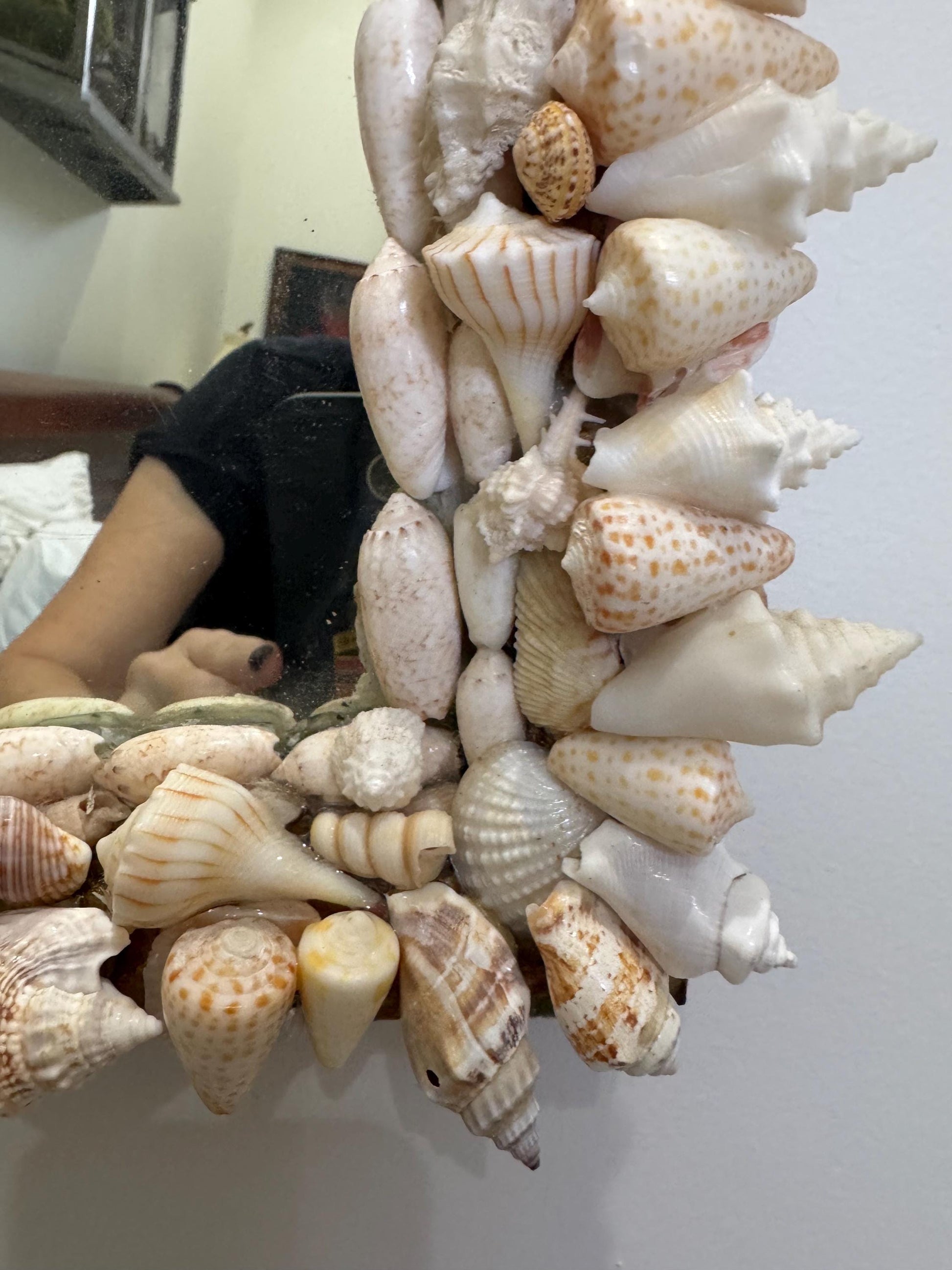 Shell Mirror Vintage Shell wood mirror Beautiful palm beach decor