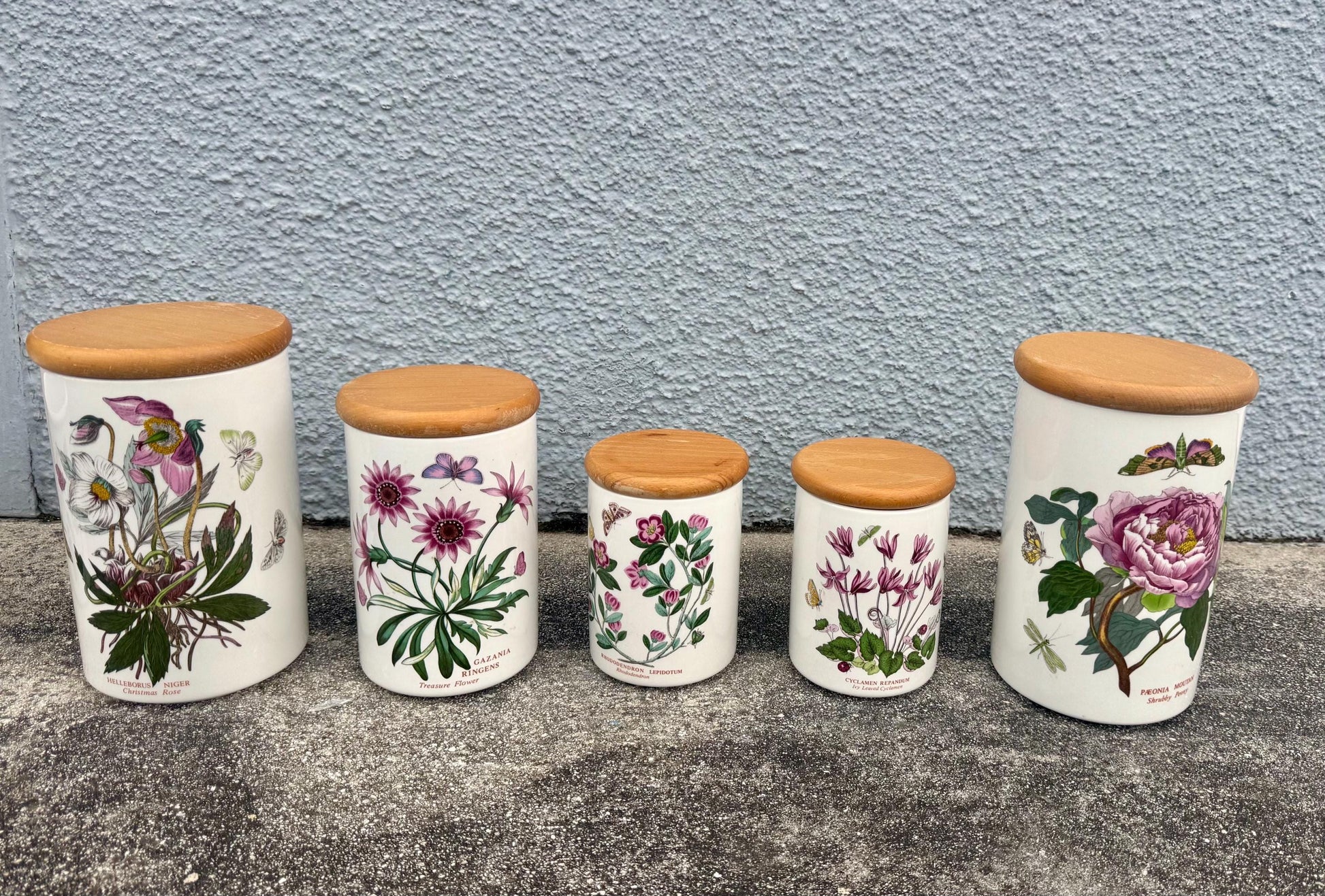 portmeirion canister set