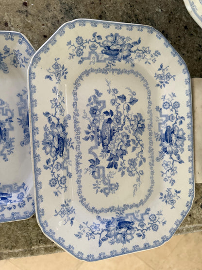 ashworth graduated platters