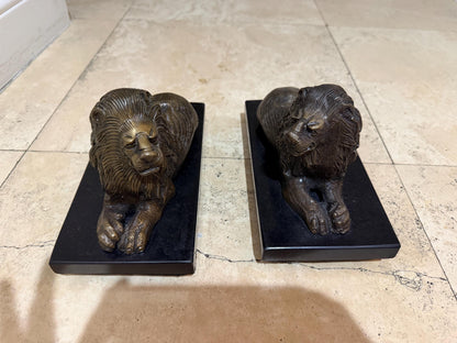 Bombay lions