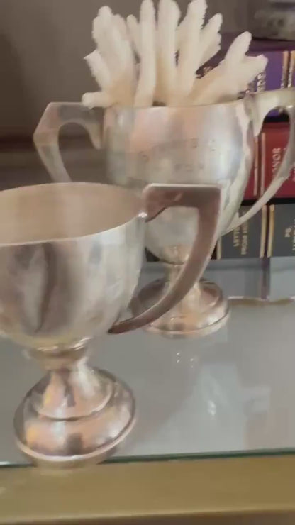 lot of vintage silver plate and pewter trophy cups from England styling pieces