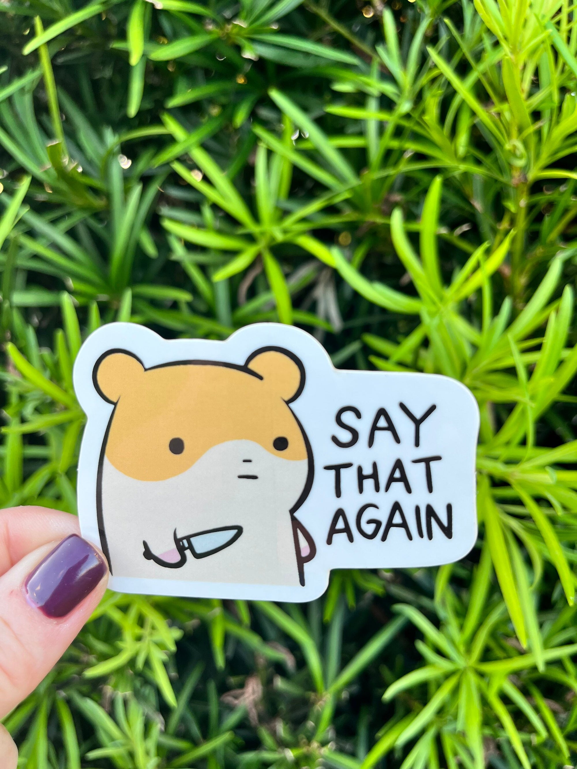Say That Again Sticker , Funny Meme Hampster Sticker, Hampter Sticker, Hampster Decal